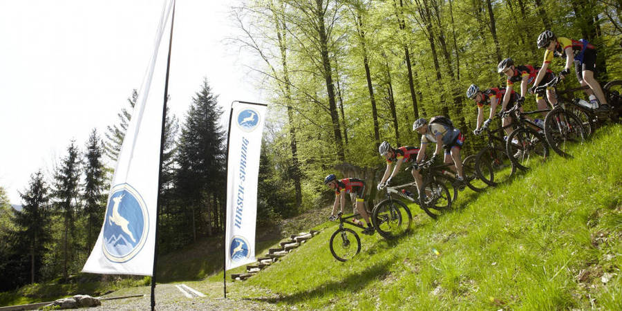 Mountainbike singletrails schwarzwald