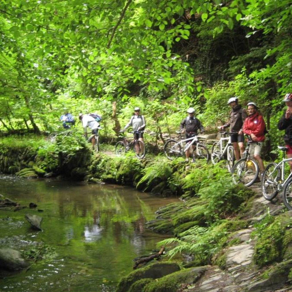 Radfahrer an einem Gewässer im Wald